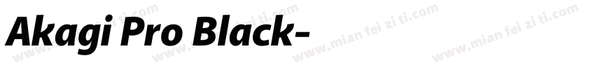 Akagi Pro Black字体转换